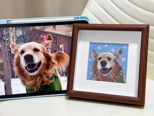 pet wool felt painting - 2D