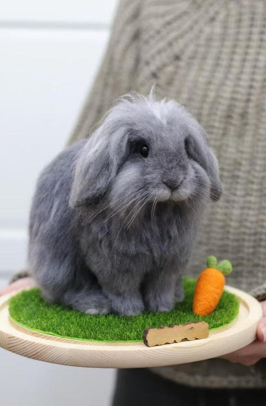 Framed Pet Portrait - Rabbit - woolfelt.pet