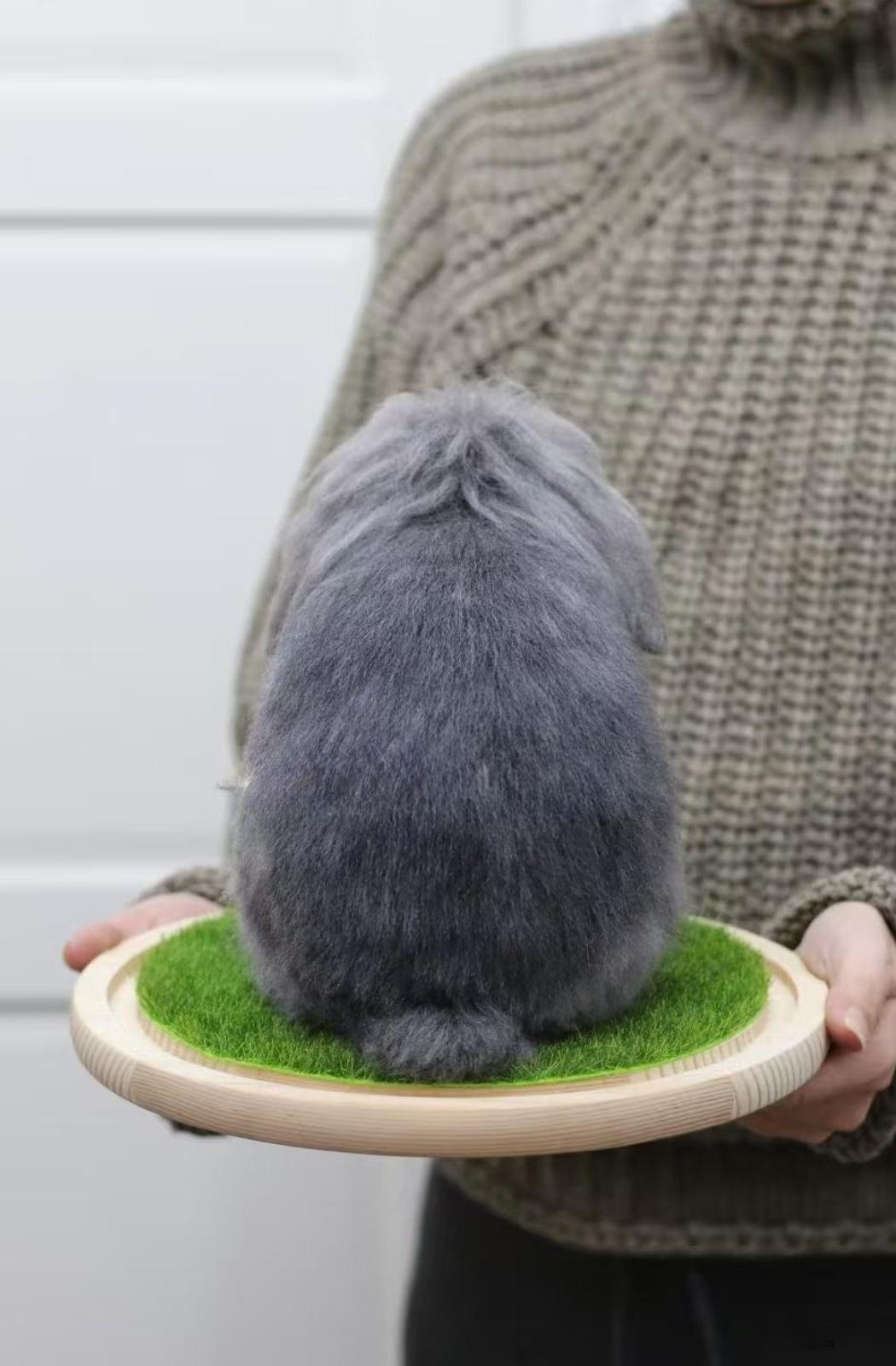 Framed Pet Portrait - Rabbit - woolfelt.pet