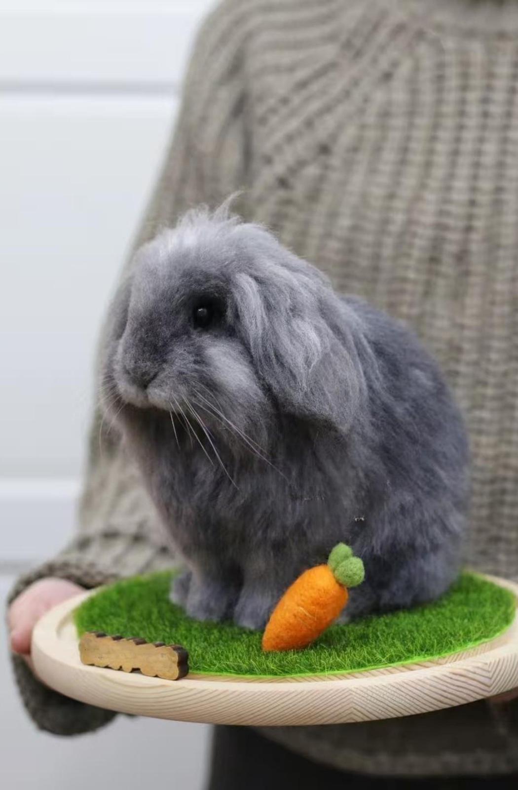 Framed Pet Portrait - Rabbit - woolfelt.pet