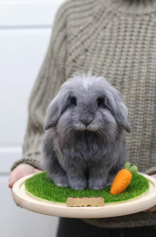 Framed Pet Portrait - Rabbit - woolfelt.pet